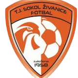 https://img.fzlite.com/img/football/team/5477d301041e00b2de35d5eeea2fabb4.png