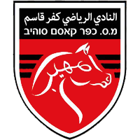 https://img.fzlite.com/img/football/team/6ab1782364049d6313678f74a706d246.png